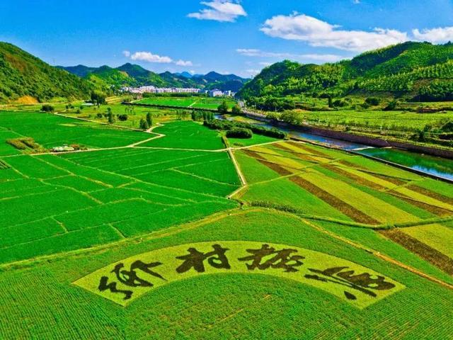 微信图片_20210607083200.png